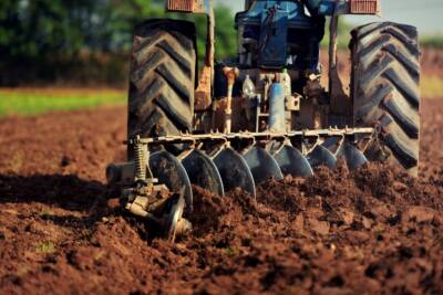 Agricoltura