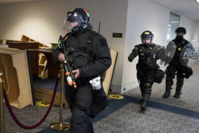 Polizia Usa