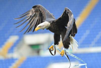 Aquila Lazio
