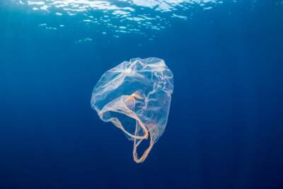 Busta di plastica in mare