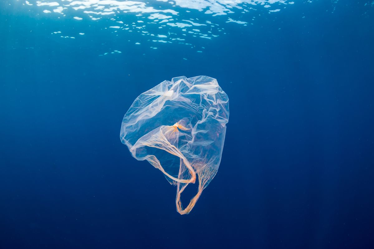 Busta di plastica in mare
