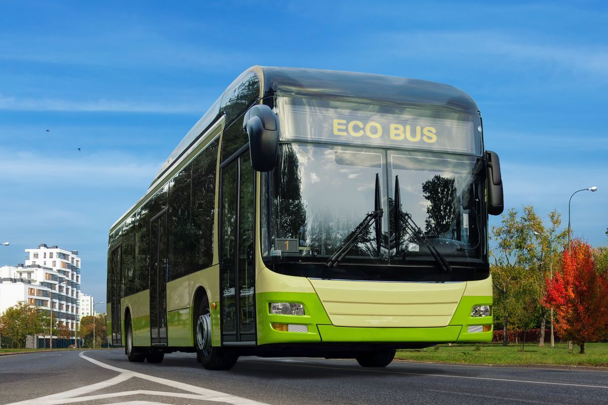 Bus urbano