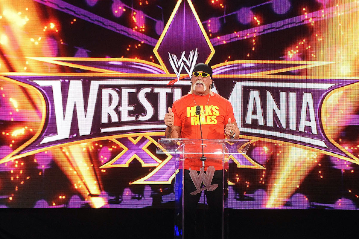 Hulk Hogan WWE