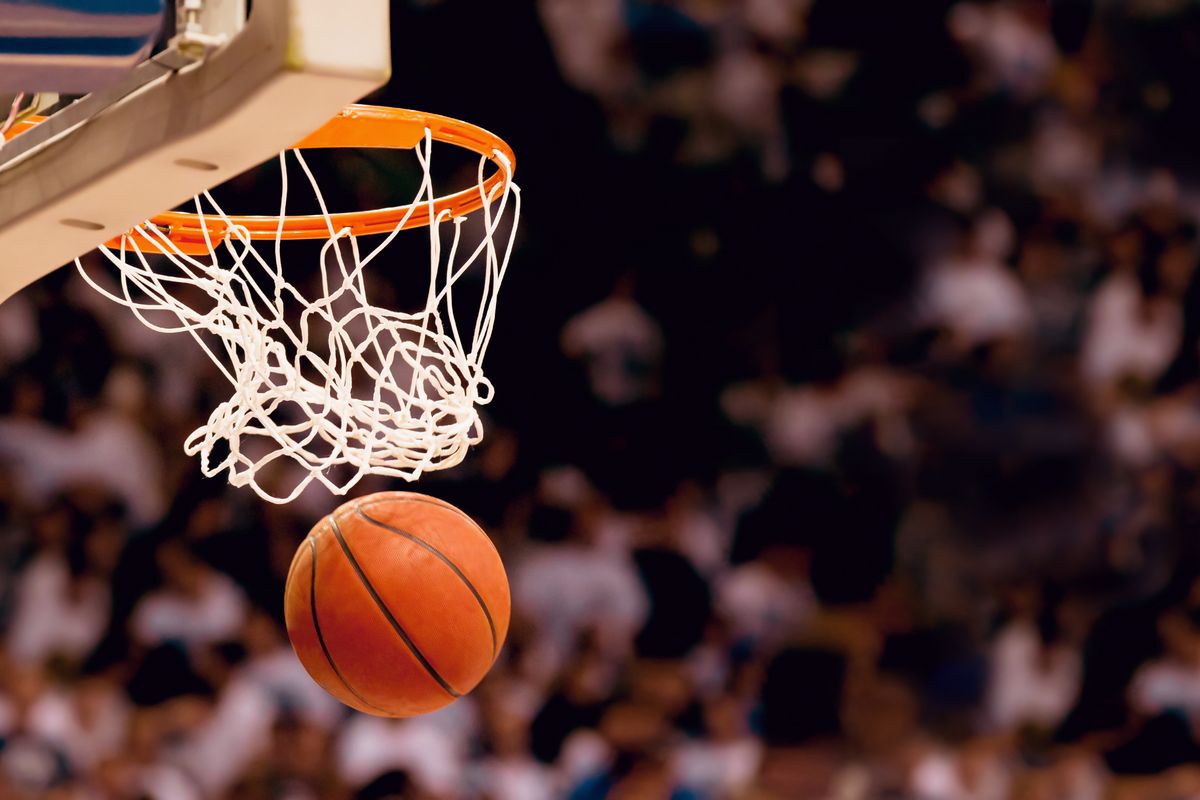 Basket pallacanesto