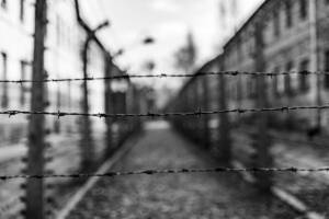 filo spinato Auschwitz olocausto campo concentramento