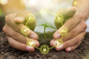 economia circolare sostenibilità green