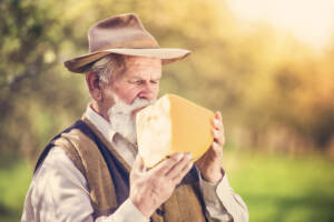 fattore con formaggio