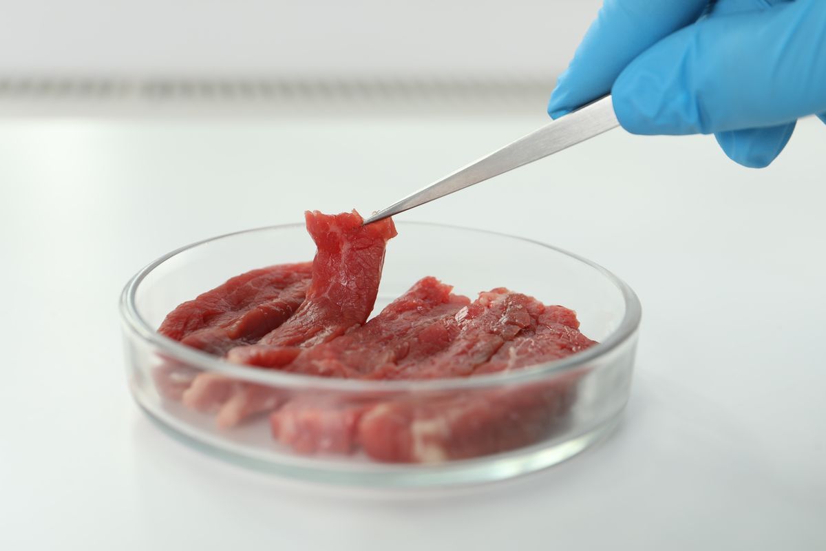 Carne sintetica