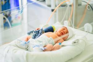 Un neonato nella culla incubatrice