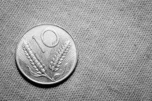 10 Lire