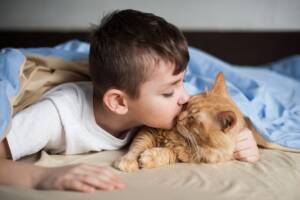Un bimbo a letto che dà un bacino affettuoso al suo gatto rosso.