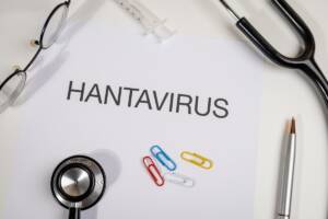 un foglio medico dedicato all'Hantavirus